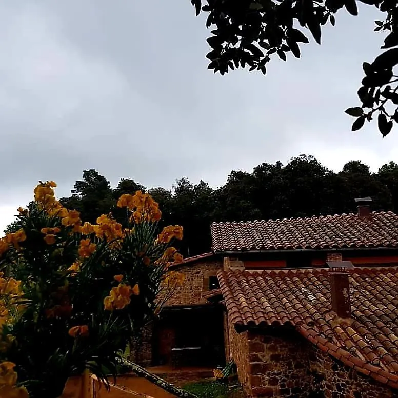 Mas Cal Sastre Guest House Sant Hilari Sacalm 0*,