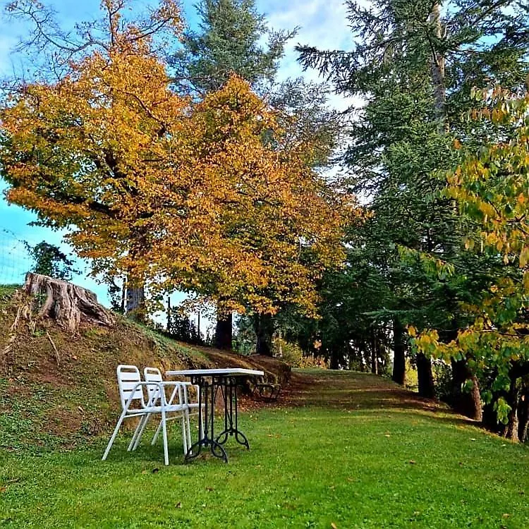 Country house Mas Cal Sastre Guest House Sant Hilari Sacalm