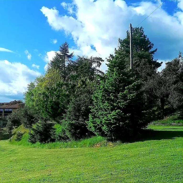 Mas Cal Sastre Guest House Sant Hilari Sacalm Country house