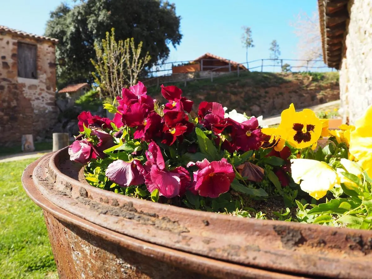 Mas Cal Sastre Guest House Sant Hilari Sacalm